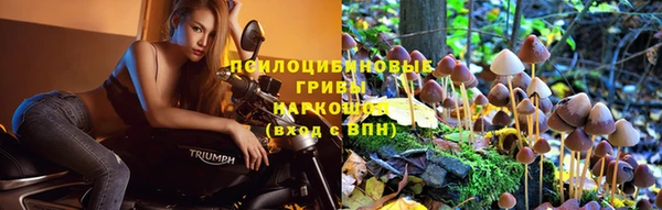 бутират Саяногорск