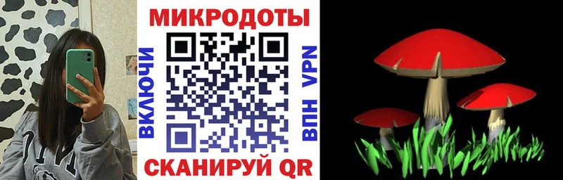 купить закладку  Бронницы  Псилоцибиновые грибы GOLDEN TEACHER 